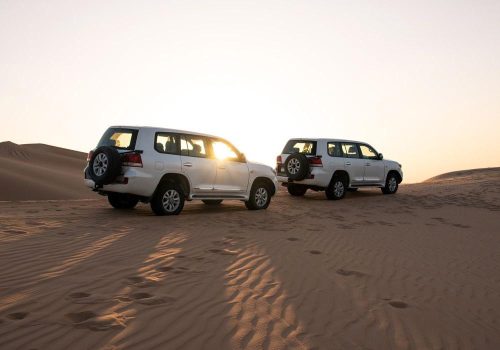 Morning Desert Safari